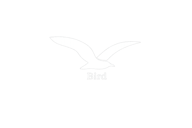 Our vision